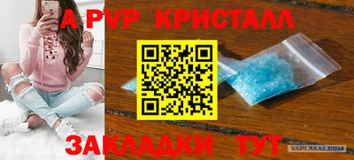 хмурый Малгобек
