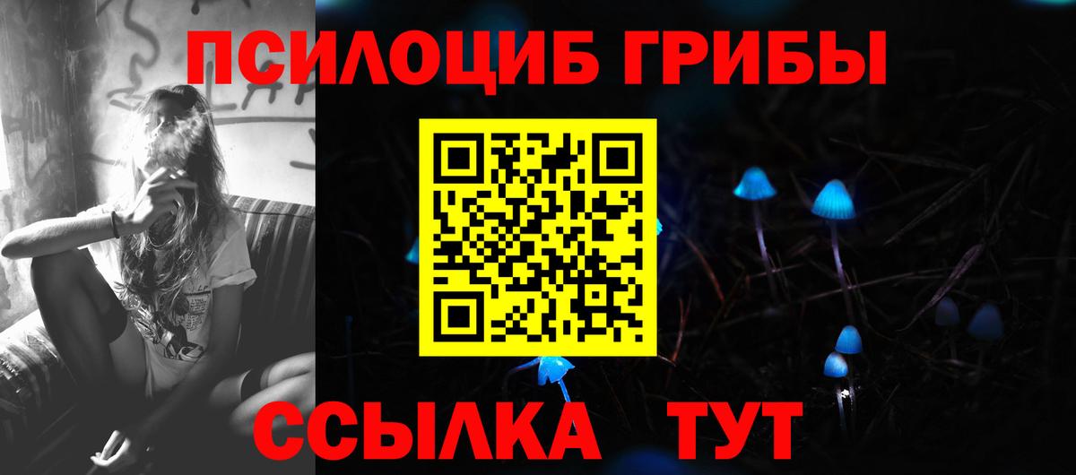 Галлюциногенные грибы мицелий Чайковский